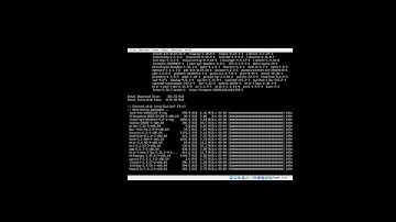 Arch Linux Installation Guide (2021)