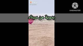 منقبة بدوية