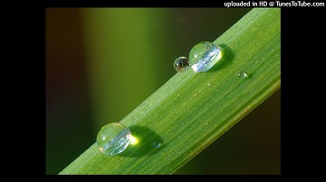 Dialectic into Dialogos and the Pragmatics of No-thingness - Vervaeke and Mastropietro - part 1