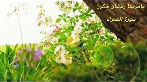 ماموستا رمضان شكور سورة الشعراء