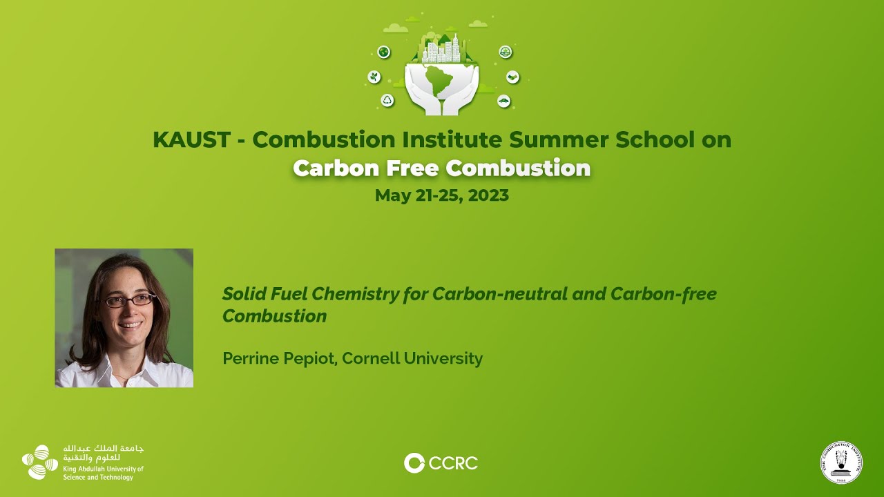 Perrine Pepiot Solid fuel chemistry for carbonneutral and carbonfree
