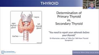 Garland Glenn, DC, PScD The Adrenal-Thyroid Connection