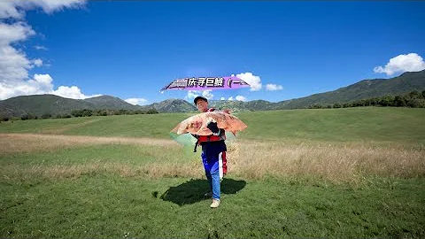 重慶奉節探釣野生60+巨型鰱鱅（一） #原來釣魚才是抖音運動頂流 - 天天要聞