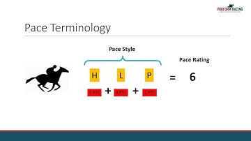How to find pace statistics for each horse in Proform