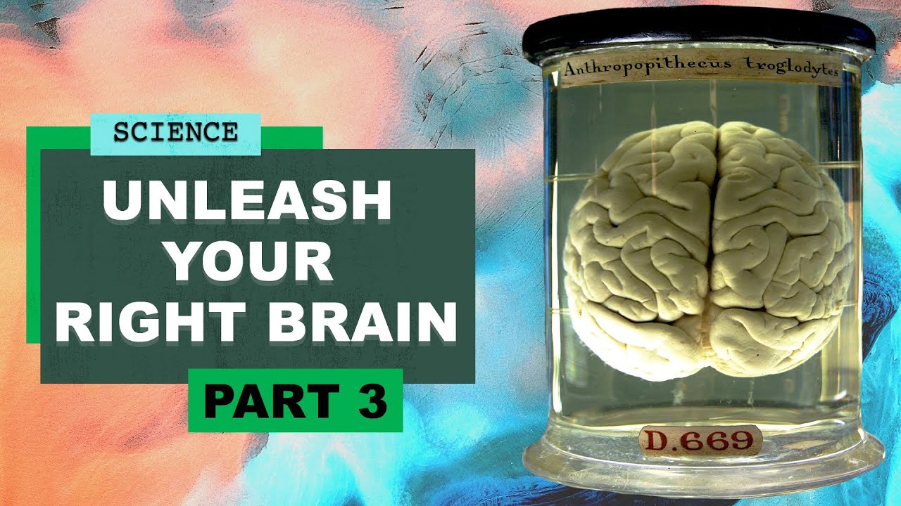 Unleash your right brain | Harvard Professor Dr Jill Bolte Taylor of Neuroscience meets Robin Ince