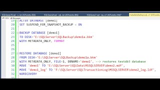 Celebrity MSBIFI Coffee Break: SQL Server 2022 - Backup Metadata only Net Worth