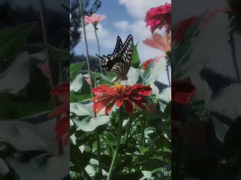 اللهم اجعل قلوبنا مطمئنة بذكرك ونفوسنا راضية بقضائك وأرواحنا ساكنة بحبك 