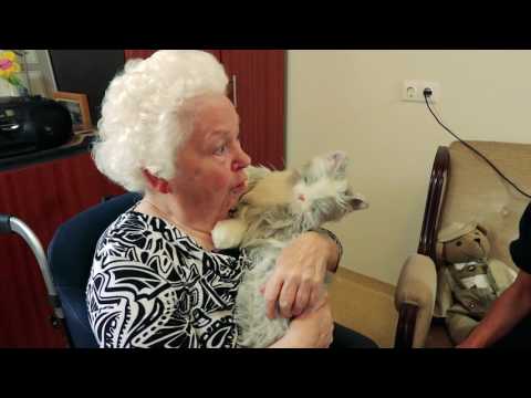 Video: Vetzuren Voor De Gezondheid Van De Huid En Vacht Van Huisdieren