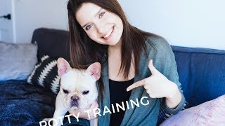 best way to potty train french bulldog