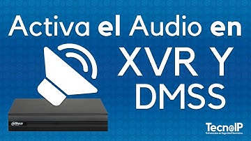 Cómo activar el audio en cámaras conectadas a un XVR y en la app DMSS