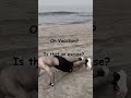 Vacation Mode? #fitness #consistency #fitnesseverywhere
