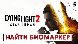 Dying Light 2 Stay Human (Прохождение) #5 - Найти Биомаркер