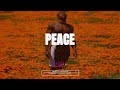 Afrobeat Instrumental 2025 X Burna Boy Ft Omah Lay Type Beat PEACE Emotional Afrobeat Type Beat