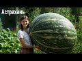 Города России в облике людей от Нейросети / песня: Семён Фролов - Город #funny