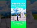 Kalajun Grassland | Xinjiang | 新疆喀拉峻大草原 #kalajun #xinjiang #天山