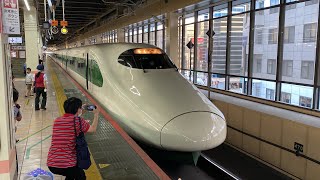 335C E2系 J66編成『200系カラー塗装』とき335号新潟行き 大宮駅発車