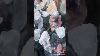 Pretty, Pretty Flower. From Bambi