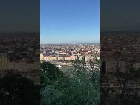 سكان الدنيا لاااإله إلا الله نسأل الله سكن الجنه