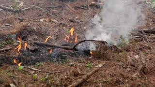 Management Minute - Firebreaks