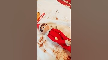 What to do if you touch your elf