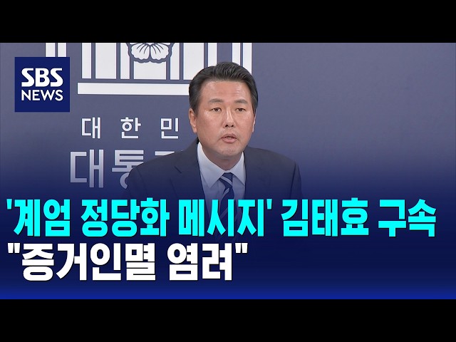 '계엄 정당화 메시지' 김태효 구속.."증거인멸 염려" / SBS