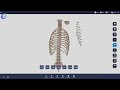 3d virtual anatomy platform operation  mecan medical