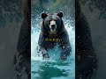 Can This Black Bear Climb Like a Ninja? 🌳🐻 #AnimalFacts #Wildlife