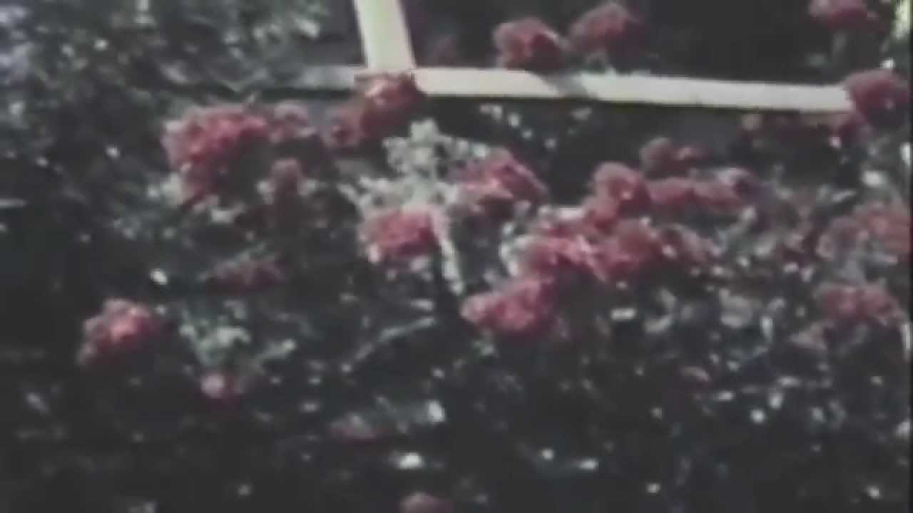 Watch Moon - Gomorrah on YouTube Watch Moon - Gomorrah on YouTube