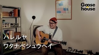 ハレルヤ／ワタナベシュウヘイ chords