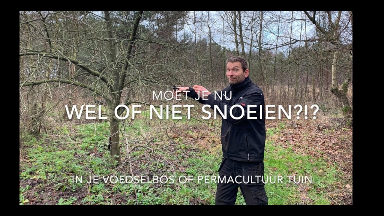 Snoeien in je voedselbos?!?
