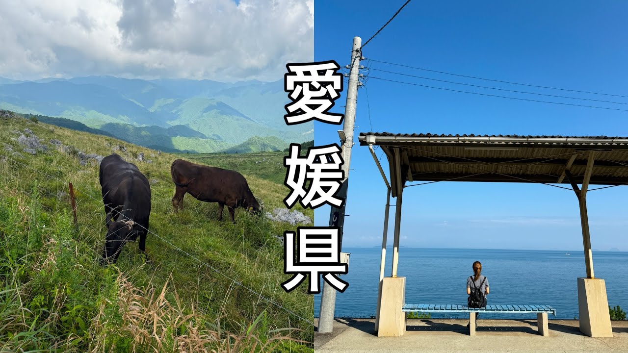 [에히메현 마쓰야마여행] 색다른 마쓰야마! 대자연, 일본감성 넘치는 소도시