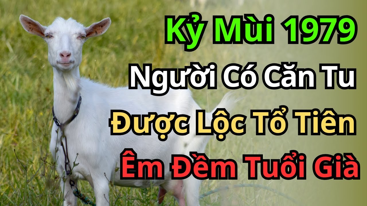 Kỷ Mùi 1979: Con Giáp Có Căn Tu Bí Mật, Được Tổ Tiên Che Chở, Hậu Vận Hưởng Trọn Lộc Trời!