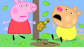 Peppa Pig Official Channel | Doctors