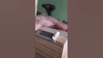 Chisel sharpness #shorts #woodworking #amazing