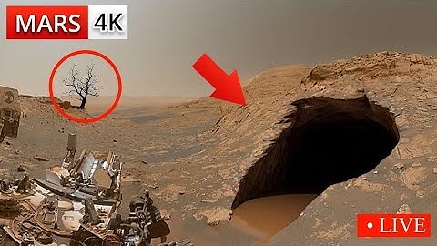 NASA’s Mars Rover Sent Most Shocking 360° Footage of Martian Geology! Perseverance’s 4K Selfie Video