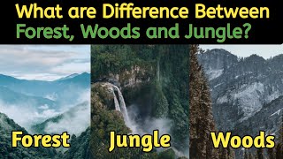 What are difference between Forest,Woods & Jungles | Explained By ajeeb Facts Hindi