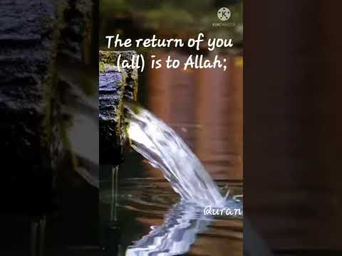 ف اس ت ب ق وا ال خ ي ر ات            