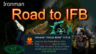 An Ironmans Complete Road to the Insane Final Boss Title