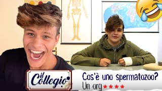 Provini Il Collegio 4 Parodia Imperdibile Imbarazzante