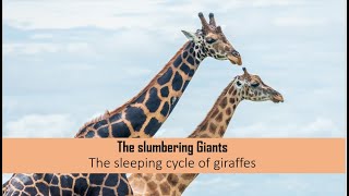 The Slumbering Giants
