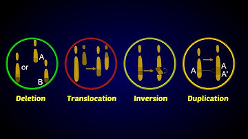 Chromosomal Aberrations
