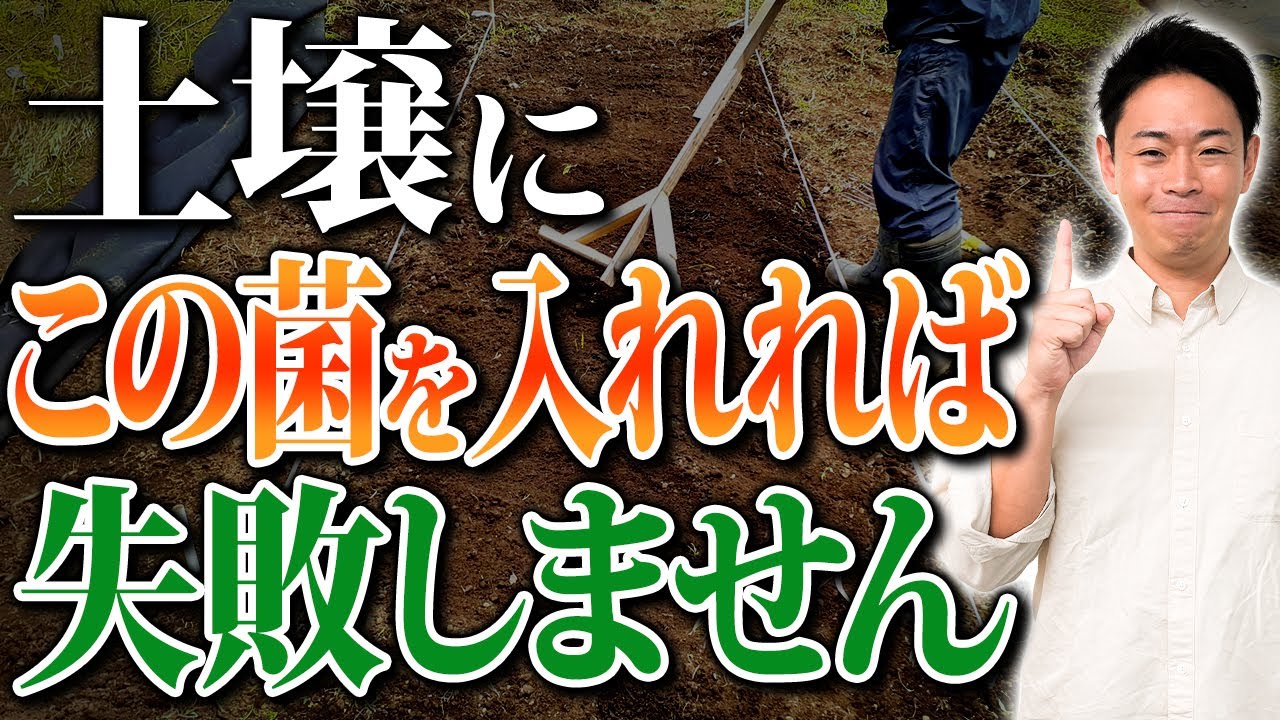 病気予防はこれで完璧？品質と収量上げたいならこの土壌改良資材を使ってください【家庭菜園 土づくり ガーデニング 土壌改良】