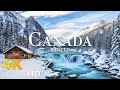 Winter in Canada 4K ❄️ Frozen Lakes, Snowy Forests &amp; Majestic Mountain Landscapes