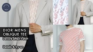 Dior Mens Oblique Devoré Effect Sheer T-Shirt – #DiorSummer19 by Kim Jones: Ready-to-wear & try-on