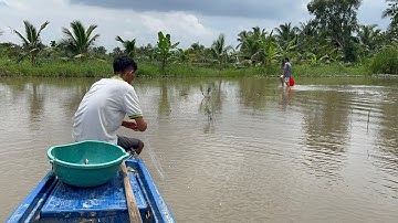 Giăng Lưới Bắt Cá Mùa Nước Nổi Con Cá Lóc Mạng quá Lớn/Catch The Fish | NGÃ NĂM TV