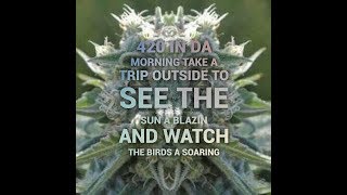 Everybody Good Morning From New England