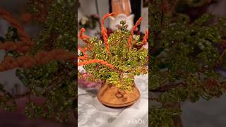 Making a tiny beaded plant 🪴 for gift #youtubeshorts #beads #beadwork ##beadcraft #viralvideo