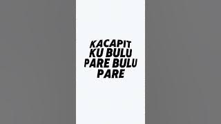 APT X CING CIRIPIT #spotify #fyp #foryou #music #viral #lyrics #foryoupage #song #songlyrics