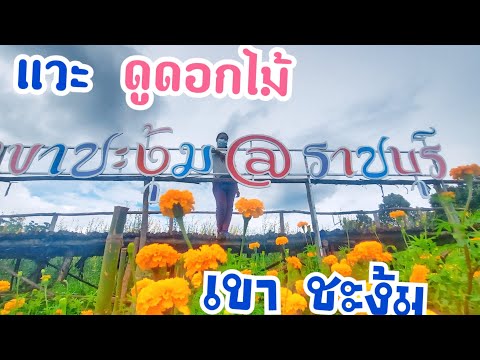 ดูดอกไม้@เขาชะงุ้ม ราชบุรี แวะเดินเล่นไปเรื่อย