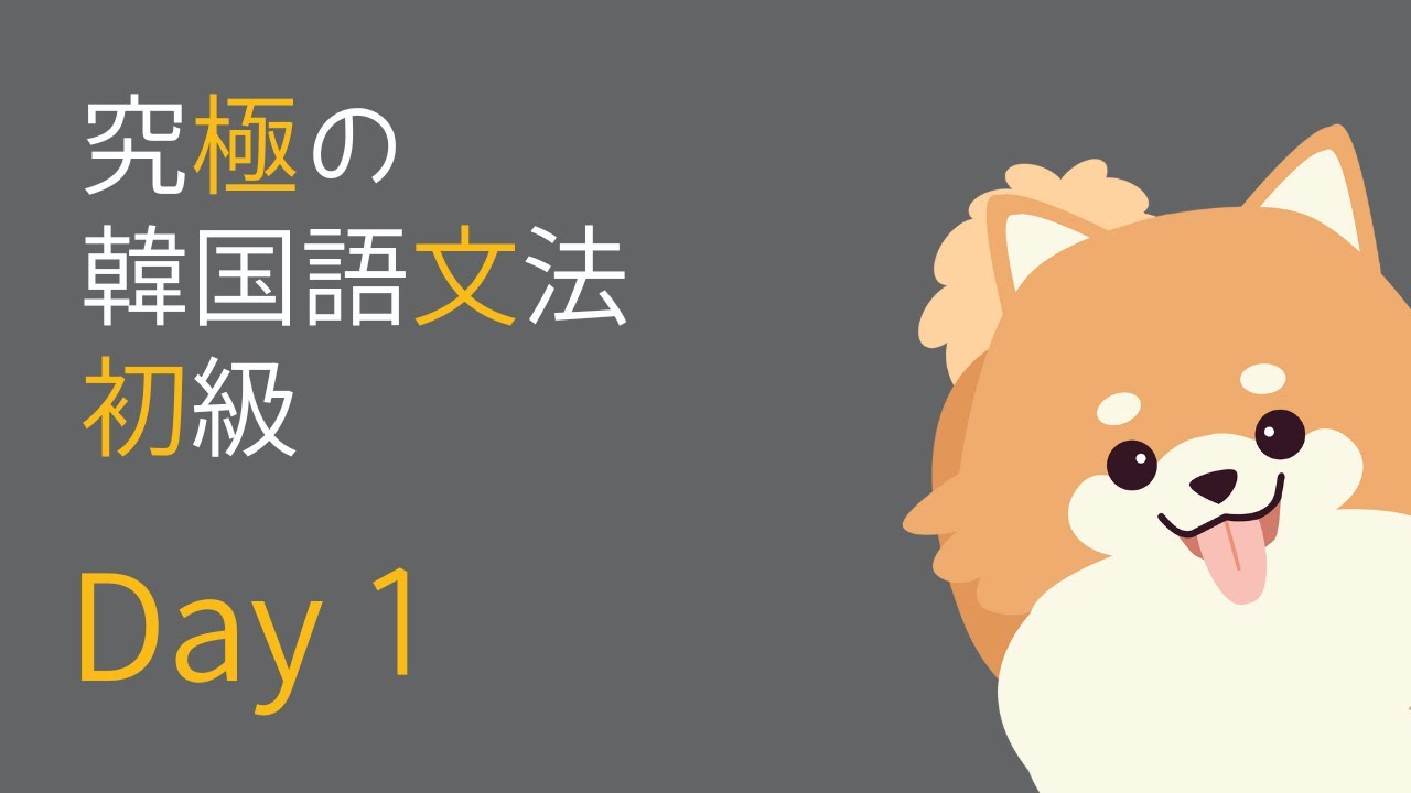 【初級】韓国語文法 Lesson 1~5⭐︎復習テスト＆作文添削付き⭐︎ Day1